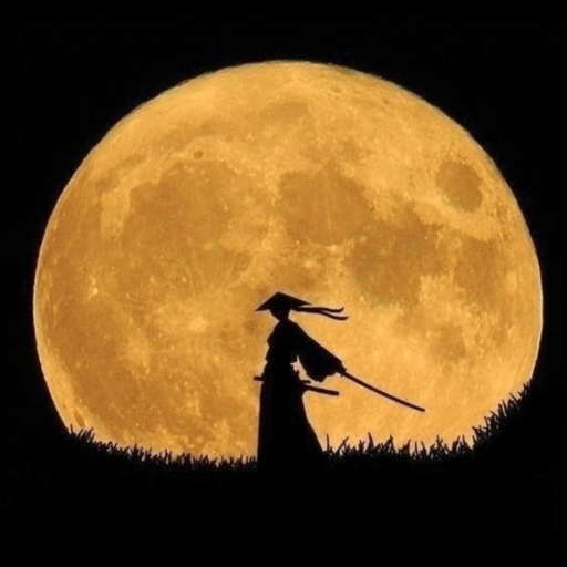 Profile picture of user Xurshidbek Yoʼldashev