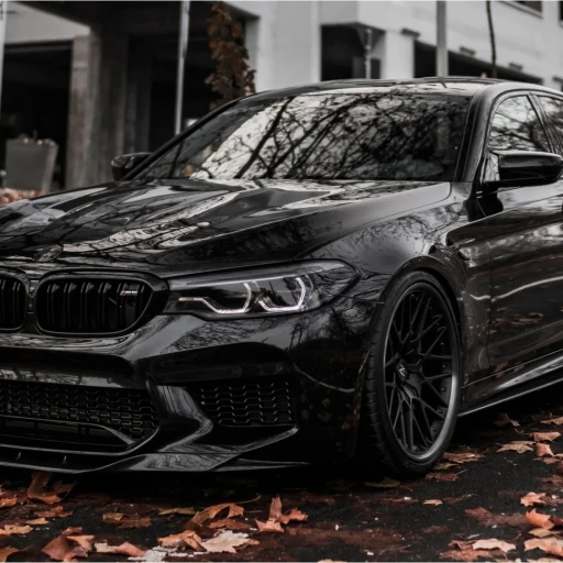 Profile picture of user Hulkaroy Sobirova