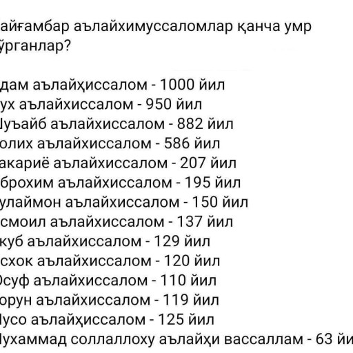 Profile picture of user Allanazar Xudayberganov