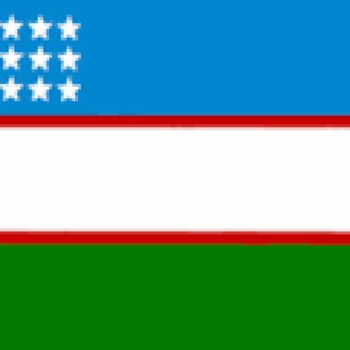 Profile picture of user Mirahmedov Muhammadjon