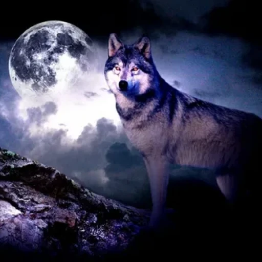 Profile picture of user TURG'UNBOEV SARDORBEK