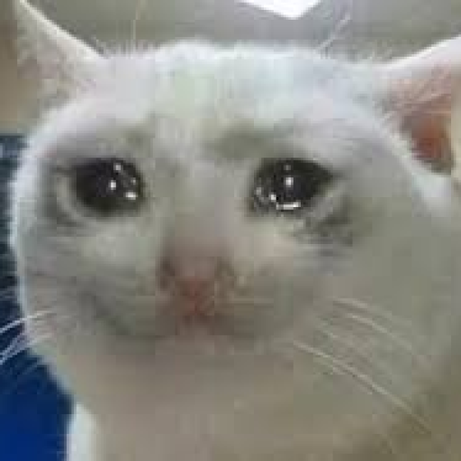 Profile picture of user zohirshoh komiljonov