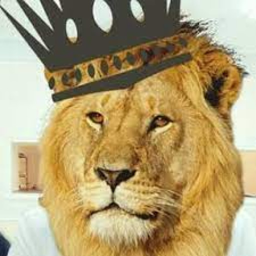 Profile picture of user Abdujabborov Muhammadaziz