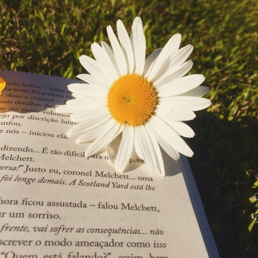 Profile picture of user Dilnura Ibrohimova