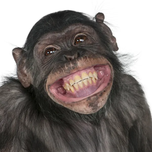 Profile picture of user alisher muyassarov