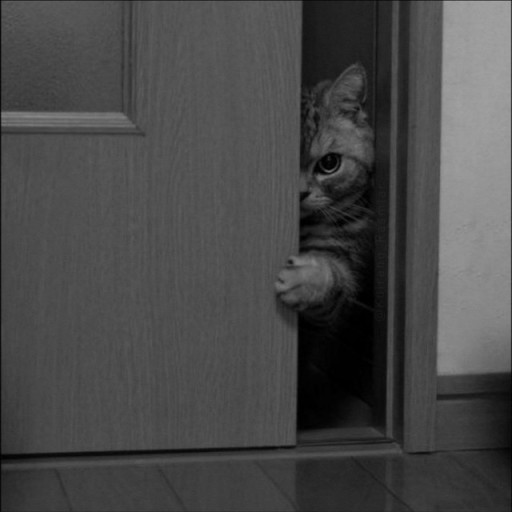 Profile picture of user mahmudov mirjalol