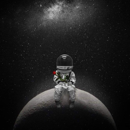 Profile picture of user Hamdamova Dilzodaxon