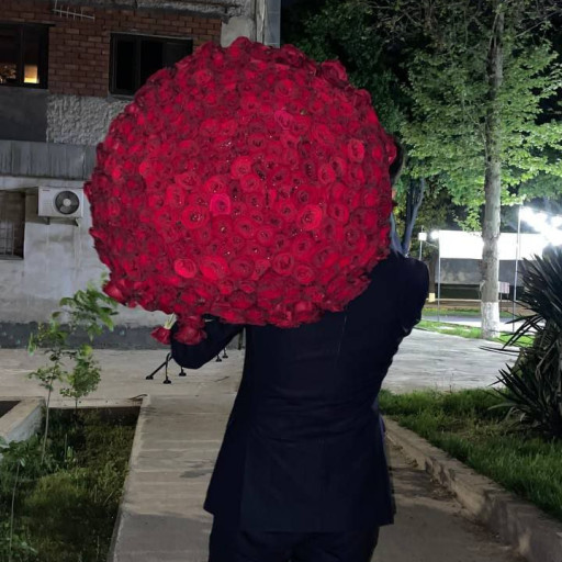 Profile picture of user Abduqddus