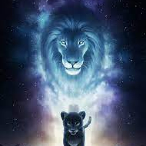 Profile picture of user Temurbek Norqobilov