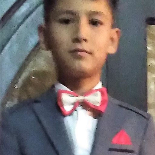 Profile picture of user Alisher Akramov