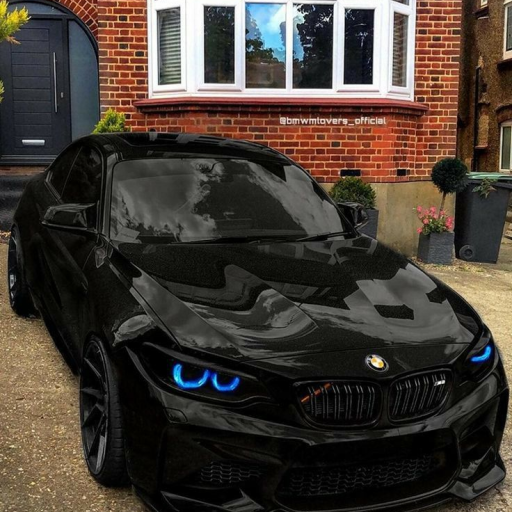 Profile picture of user Zafar Yaxshiboyev