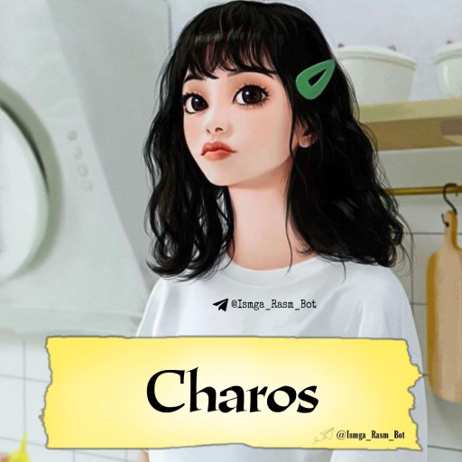 Profile picture of user Charos Fayziyeva