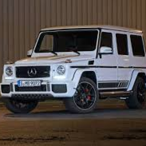 Profile picture of user NAVRUZBEK TOSHTEMIROV