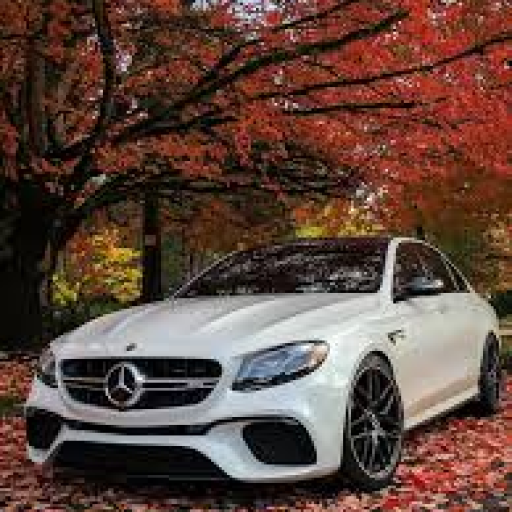 Profile picture of user NAVRUZBEK TOSHTEMIROV