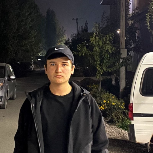 Profile picture of user Behruzbek Hasanboyev