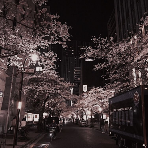 Profile picture of user Abdisamatova Shaxlo