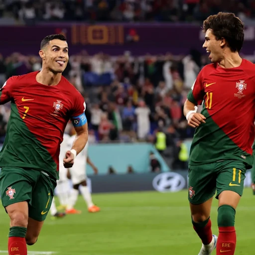 Profile picture of user Alimatov Muhammaddiyor