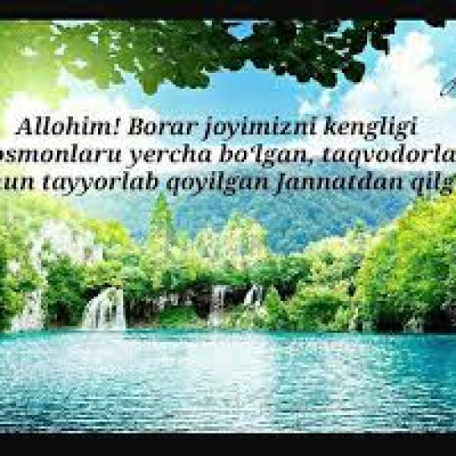 Profile picture of user Kamol Komilov