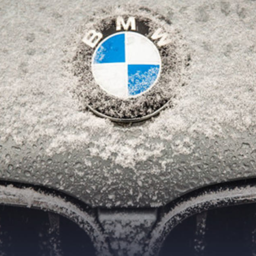 Profile picture of user palonchi