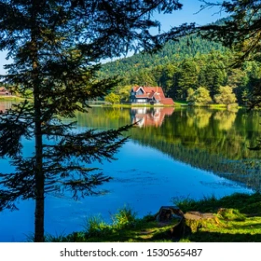 Profile picture of user muhammadali