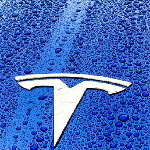 Profile picture of user FERUZSAIDOV