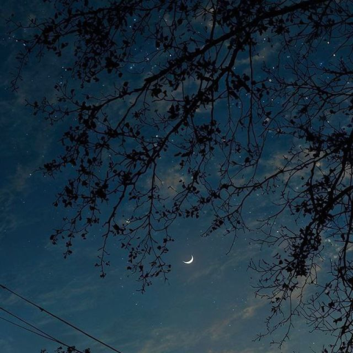 Profile picture of user Alisherova Ominaxon