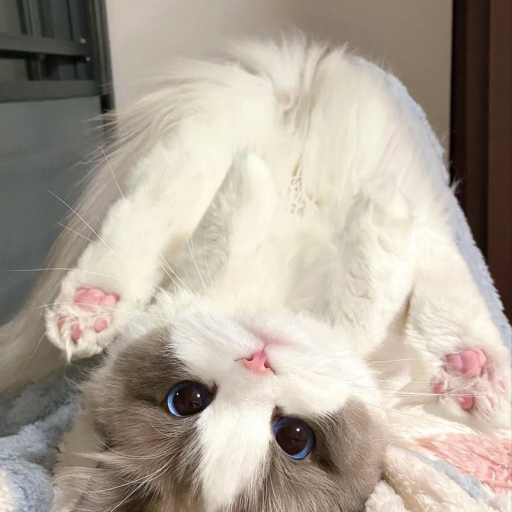 Profile picture of user Alisherova Ominaxon