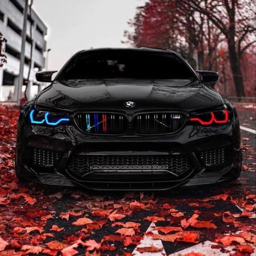 Profile picture of user Nasimov Umriuzoqjon Salim o'g'li