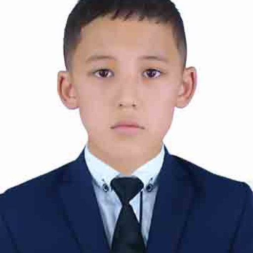 Profile picture of user Mahmudjonov Ro'zimuhammad