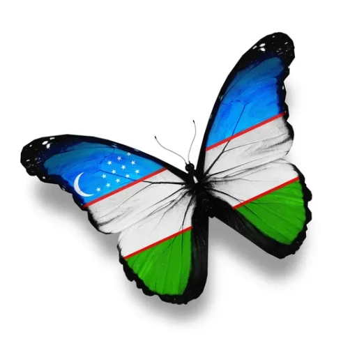 Profile picture of user Hulkar To'rayeva