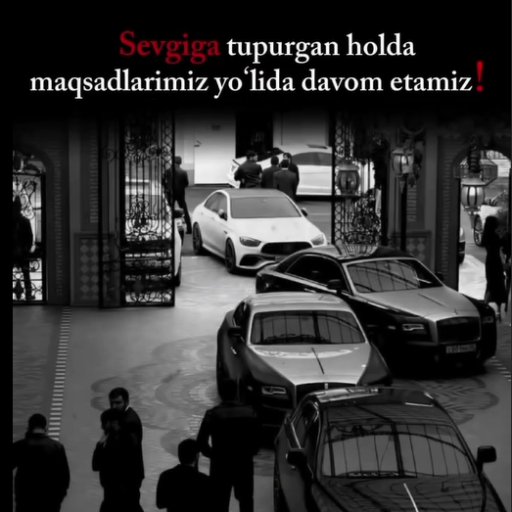 Profile picture of user Hamrayev Xushnud