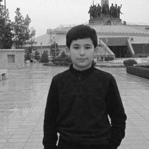 Profile picture of user Hamrayev Xushnud