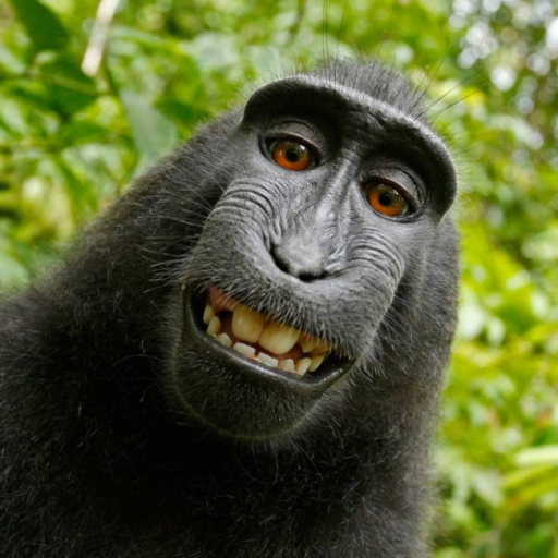 Profile picture of user Magdiyev Muhammad