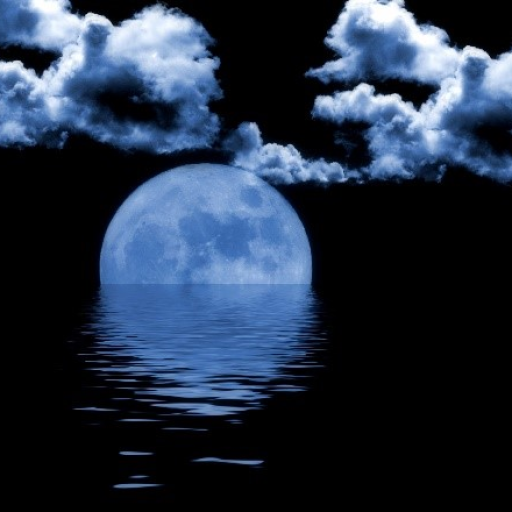 Profile picture of user Tangirov Dilshod