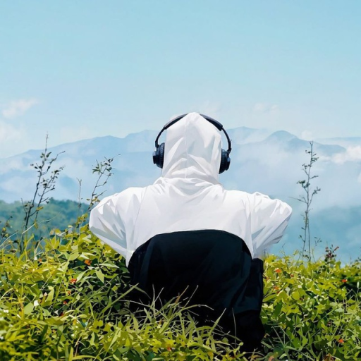 Profile picture of user Sardor Rahmatullayev