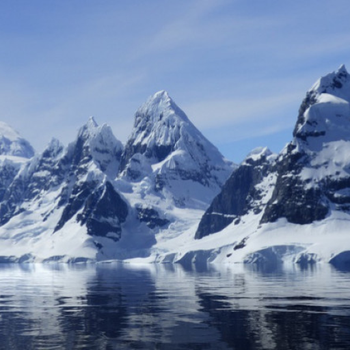 Profile picture of user Yaxshiboyeva Diyora