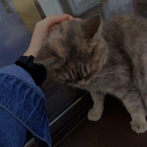 Profile picture of user Qoryog'diyev G'anisher