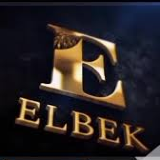 Profile picture of user Elbek Karimov