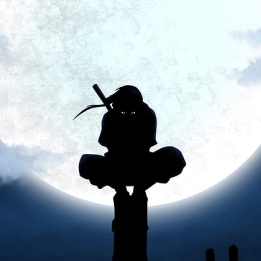 Profile picture of user Karimov Jahongir