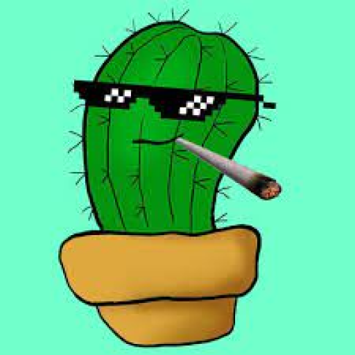 Profile picture of user Cactus IT