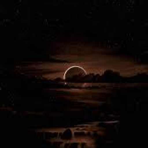 Profile picture of user Toshtemirov Temurbek