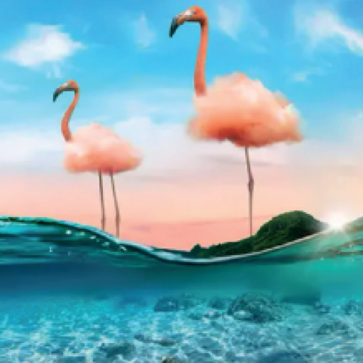 Profile picture of user Asatillayeva Kumushbibi