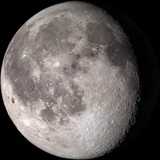 Profile picture of user Dilnura Sharifova