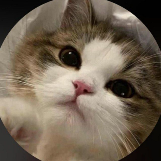 Profile picture of user M.Malikova