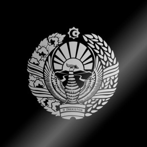 Profile picture of user Alimboyev Asadbek