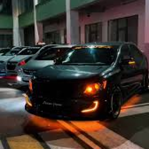 Profile picture of user Dilbek Nuriyev