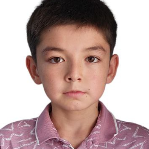 Profile picture of user Otabek Ermamatov