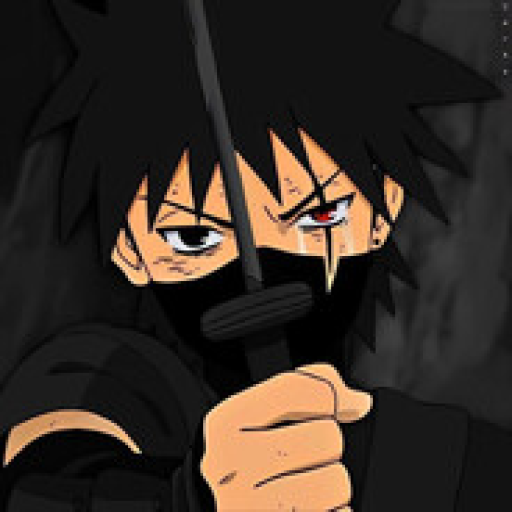 Profile picture of user FirdavsHasanboev