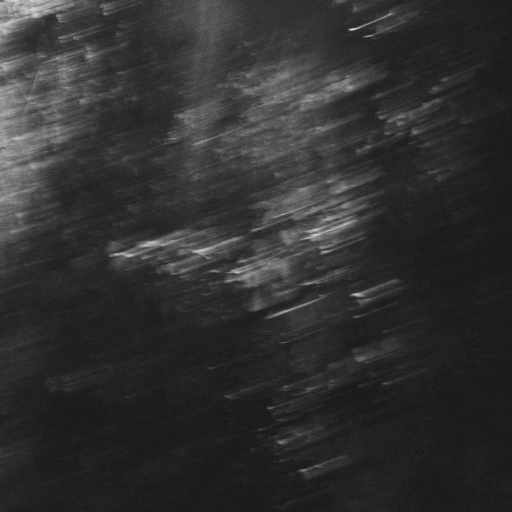 Profile picture of user anonymous