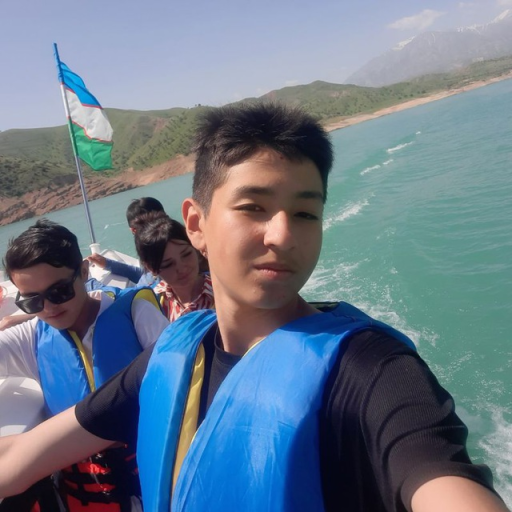 Profile picture of user Behruz Berdimurodov